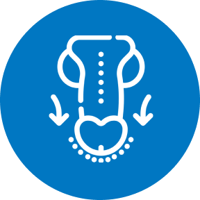 whychoose-icon-effective-easy-to-use.png