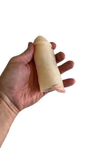 Palm Modified